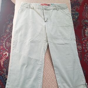 Mossissue Cabri pants .